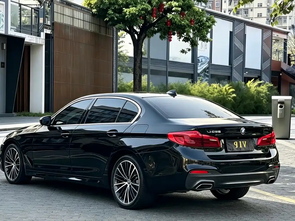 BMW 5 Series 2019 — фото 9