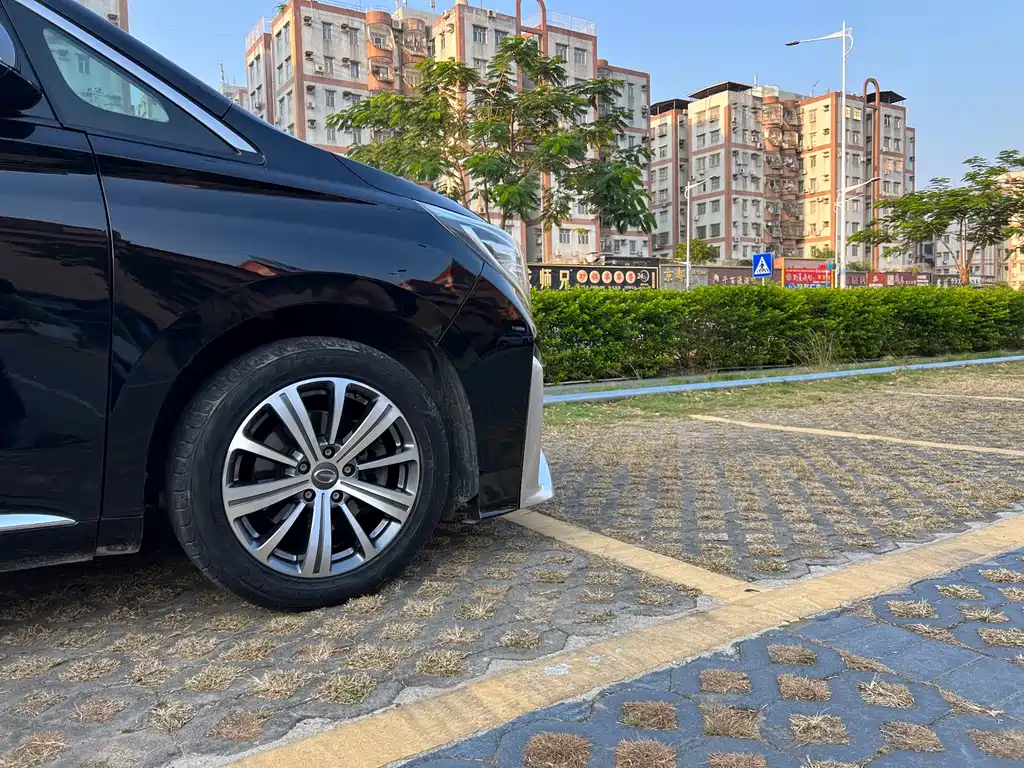 GAC Motor Trumpchi M8 2019 — фото 8