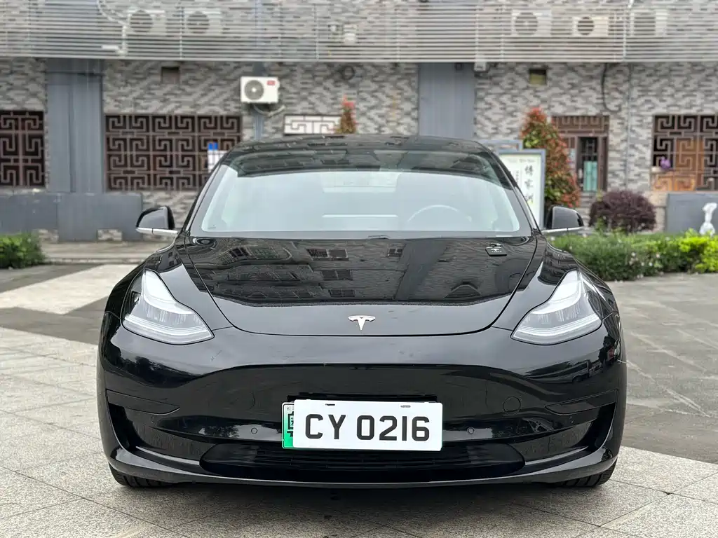 Tesla Model 3 2020 — фото 2
