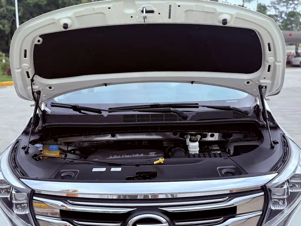 GAC Motor Trumpchi M8 2019 — фото 23