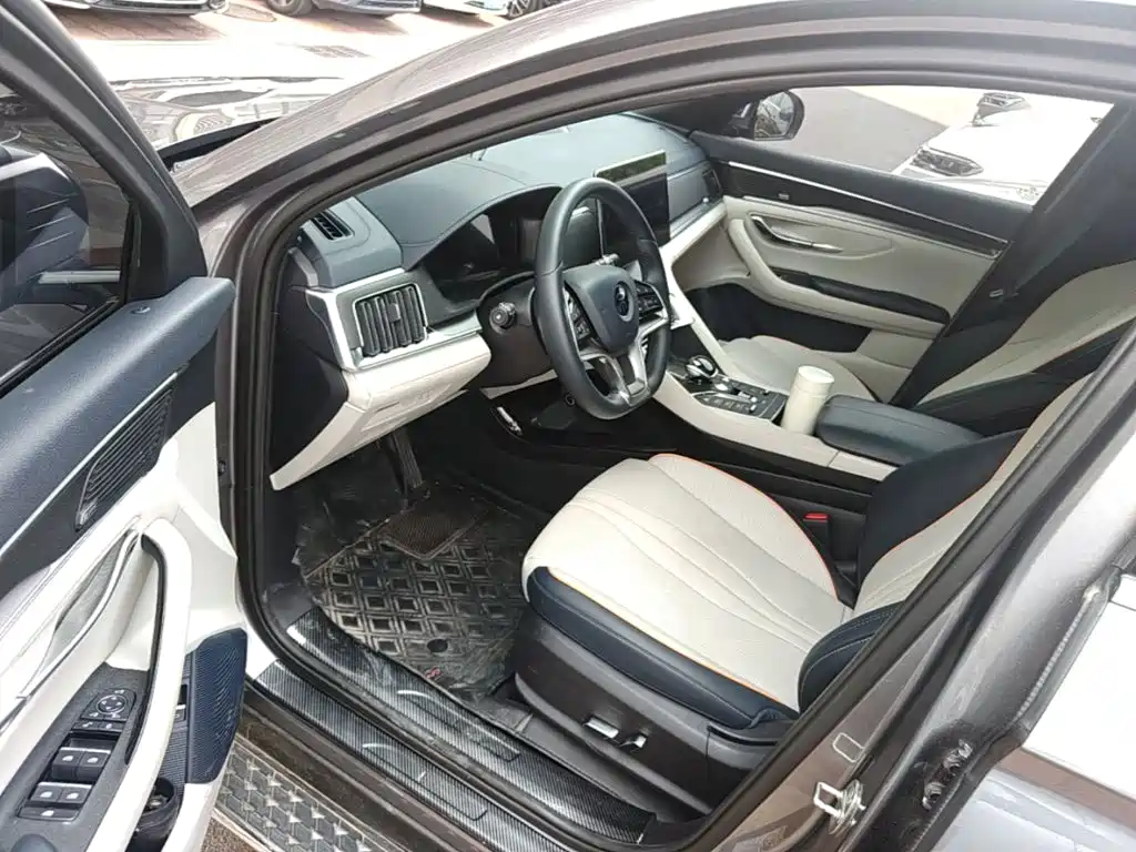 BYD PLUS New Energy 2022 — фото 16