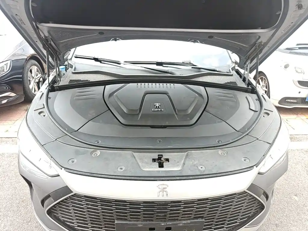 BYD PLUS New Energy 2022 — фото 20
