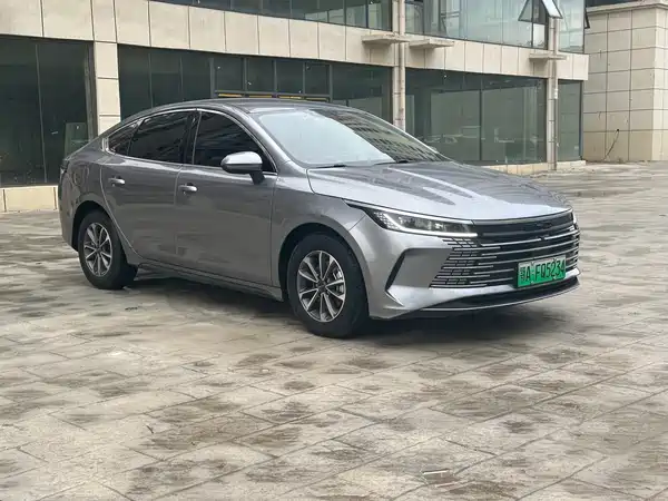 BYD Destroyer 05 2024