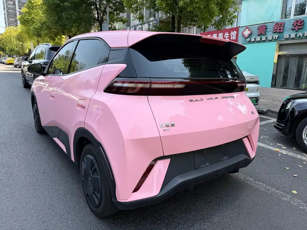 BYD Seagull 2024