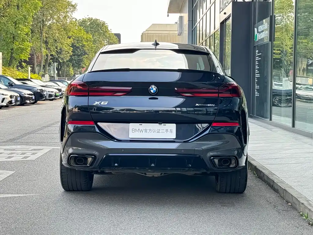 BMW X6 2024