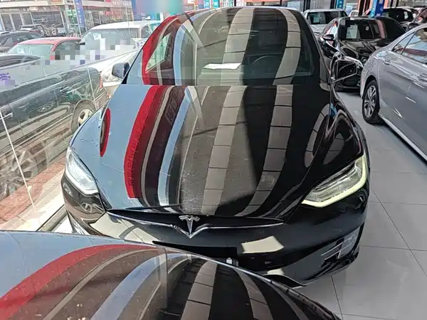 Tesla Model X 2019