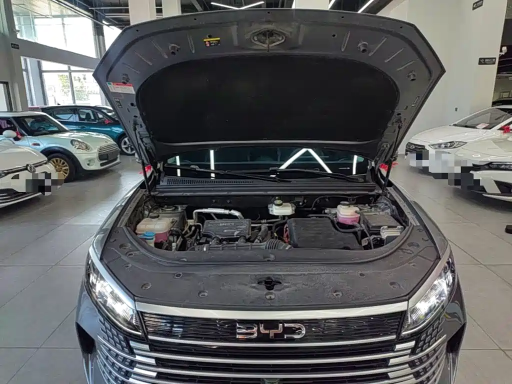 BYD Sealion 05 DM-i 2025 — фото 20