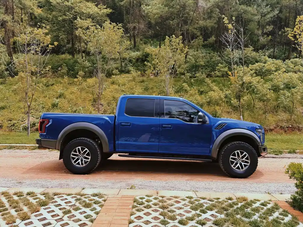 Ford F-150 Raptor 2019 — фото 4
