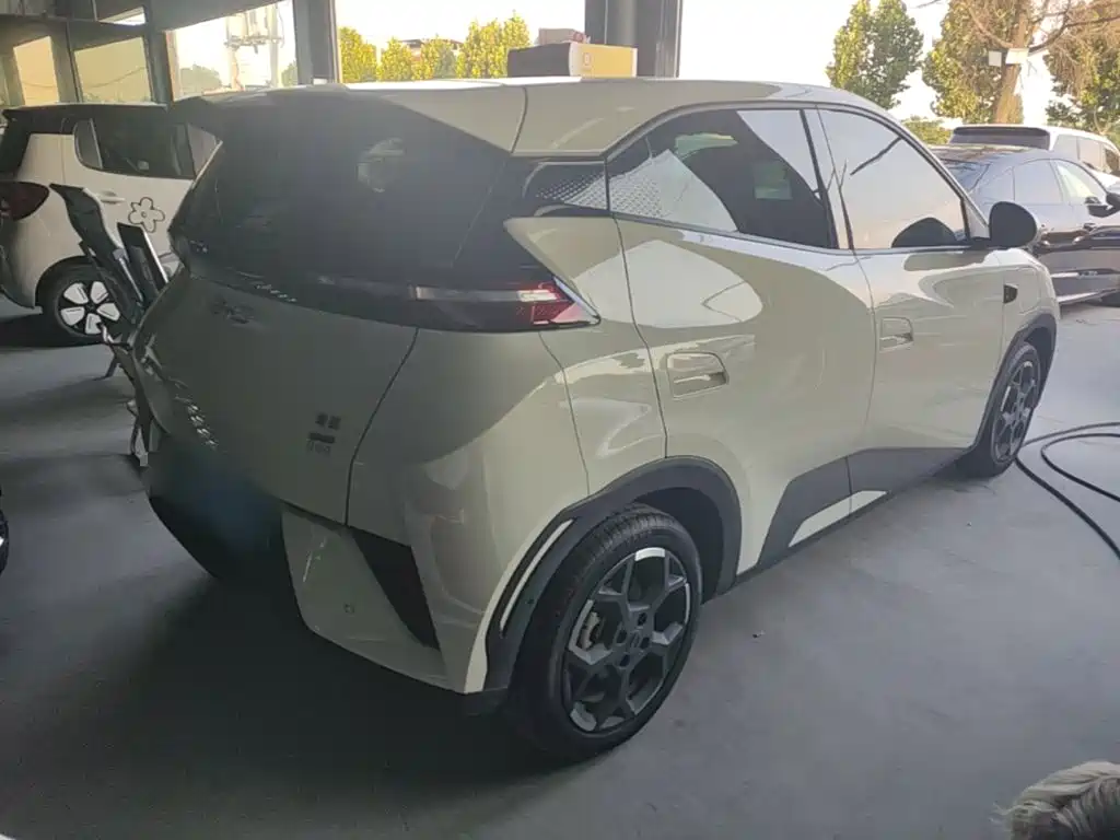 BYD Seagull 2026