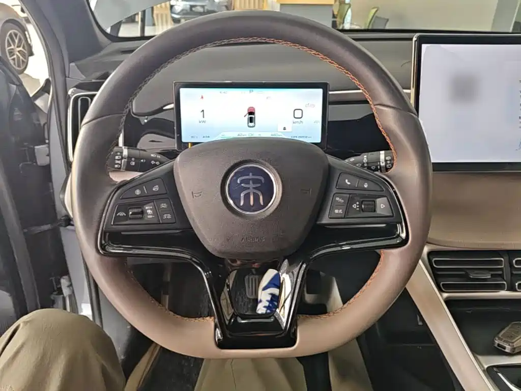 BYD Pro New Energy 2025 — фото 11