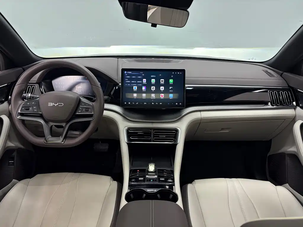 BYD PLUS New Energy 2024 — фото 11