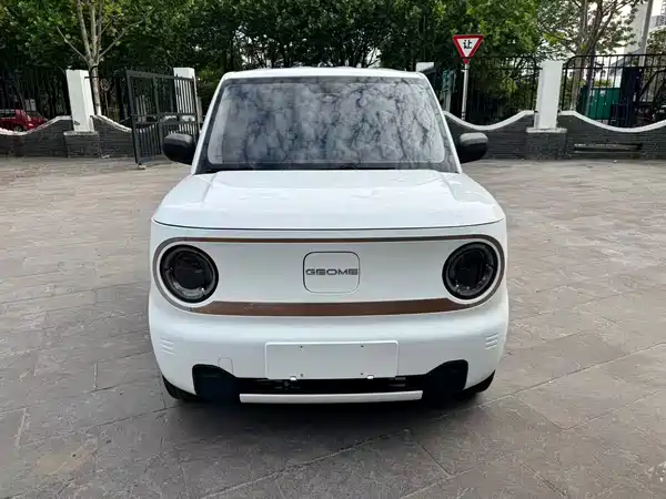 Geely Galaxy Panda 2023