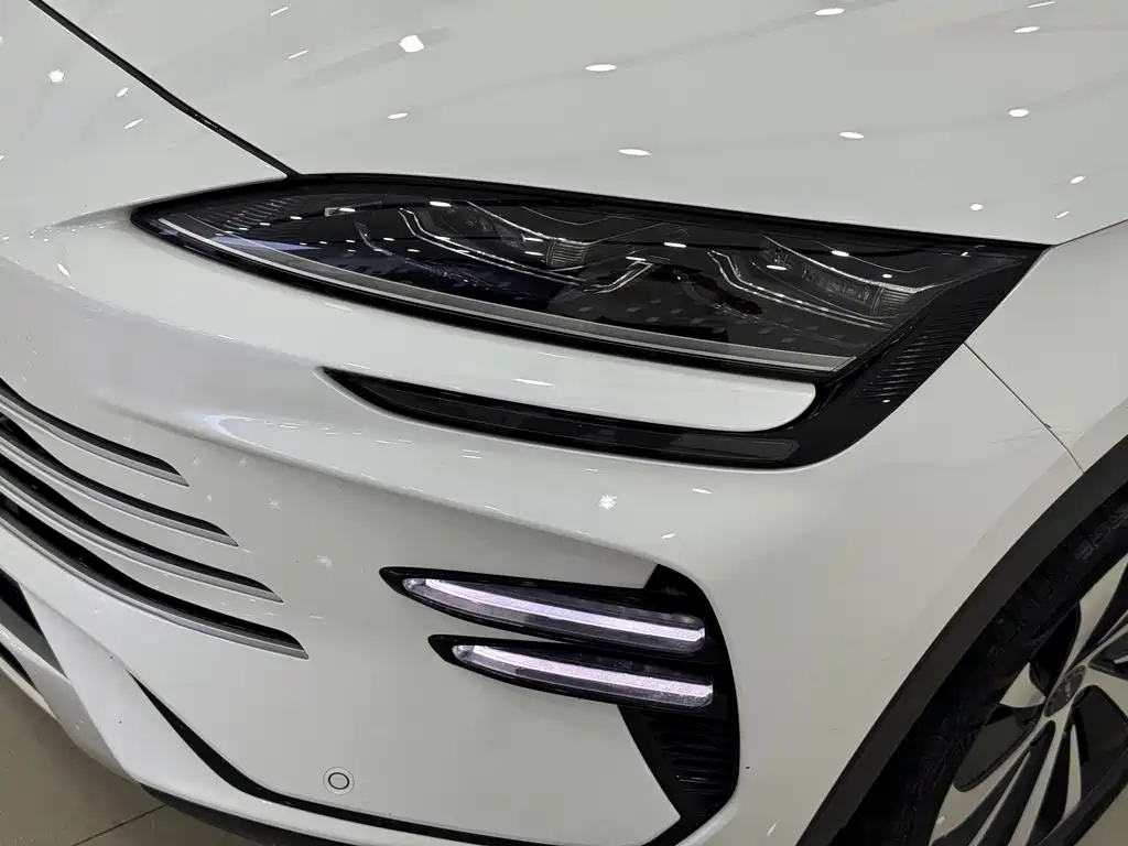 BYD Song PLUS New Energy 2023 — фото 3