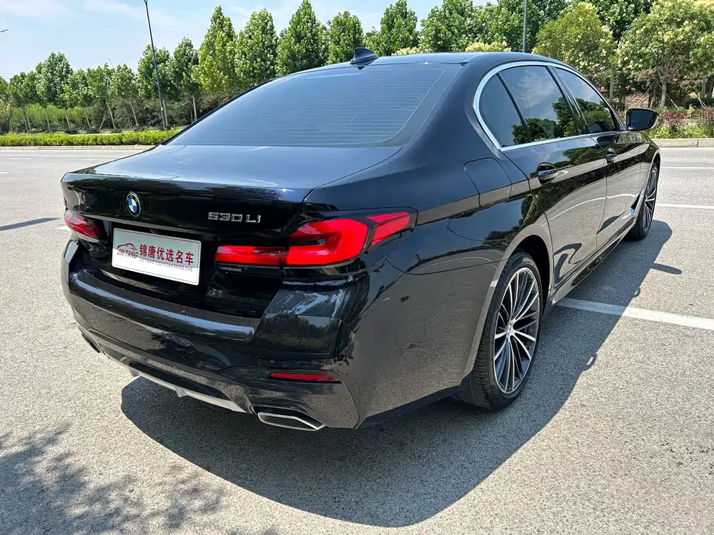 BMW 5 Series 2021 — фото 14