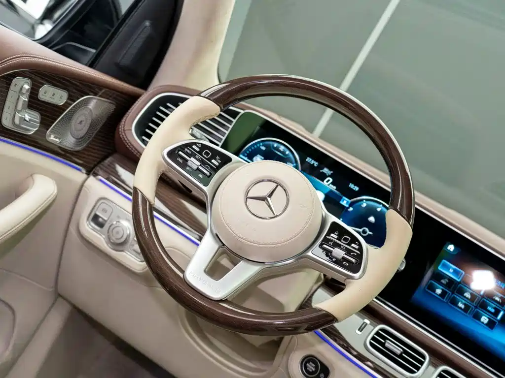 Mercedes-Benz Maybach GLS 2021 — фото 12