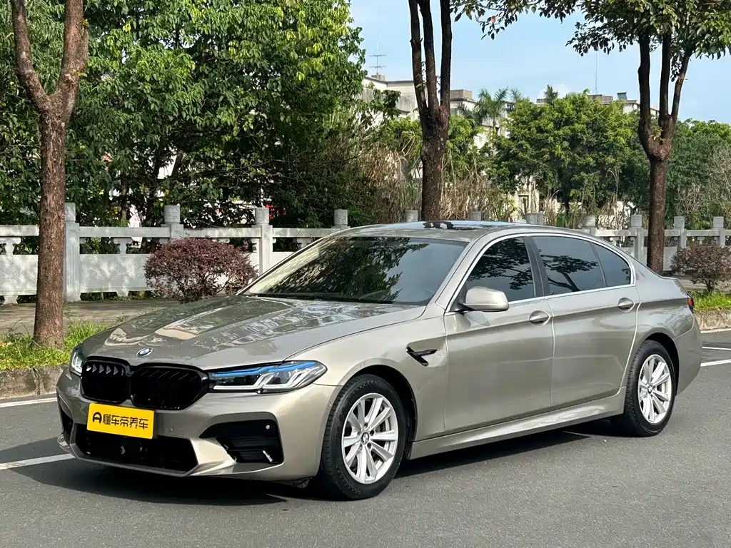 BMW 5 Series 2010