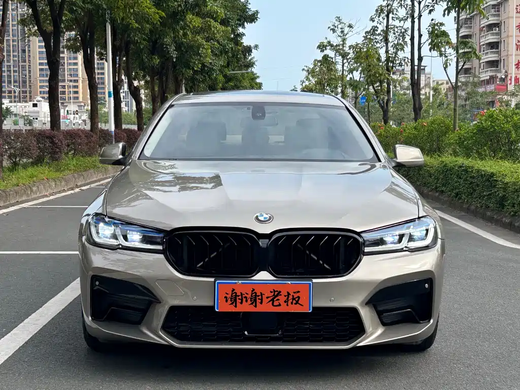 BMW 5 Series 2010