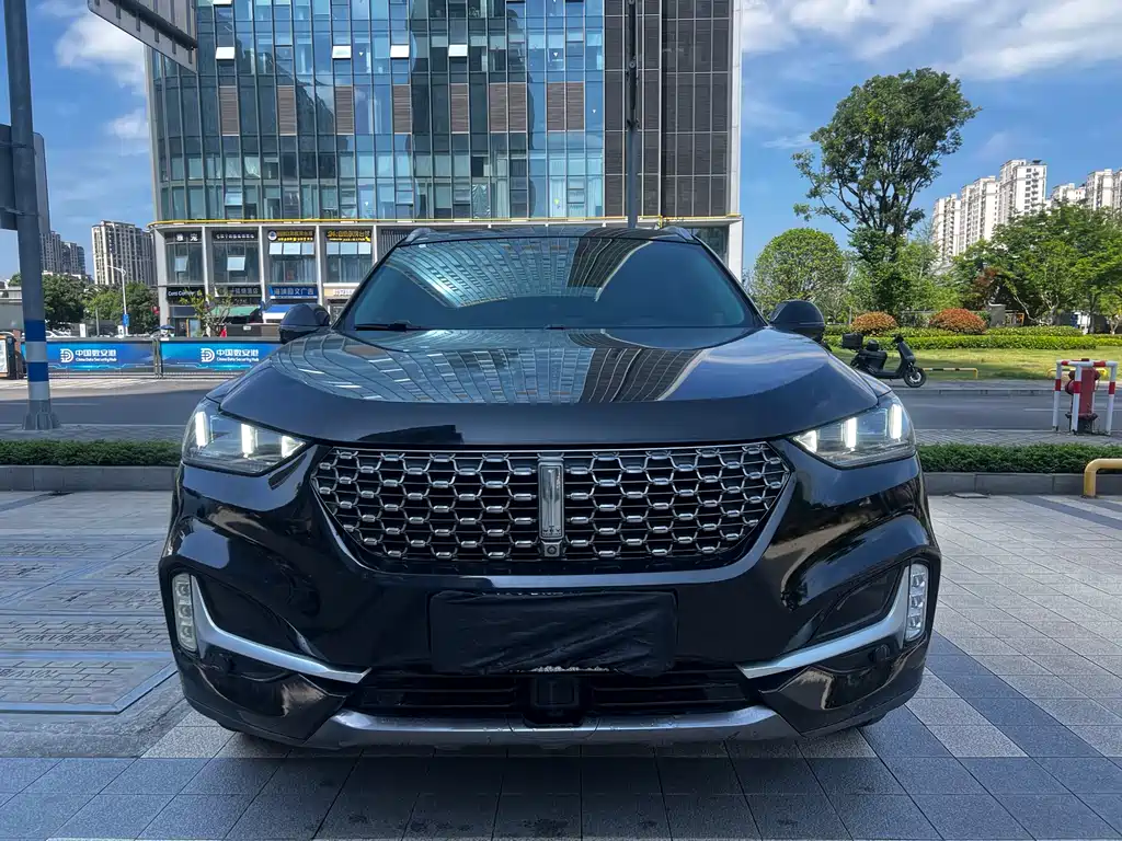 Wey VV6 2020