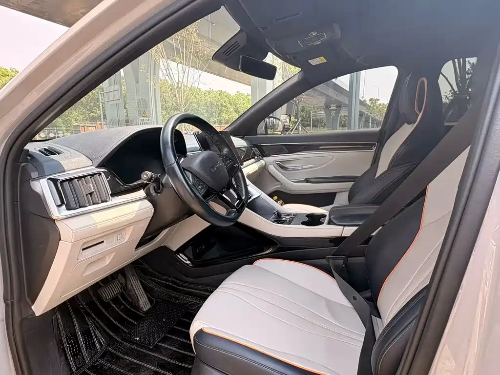 BYD PLUS New Energy 2023 — фото 4