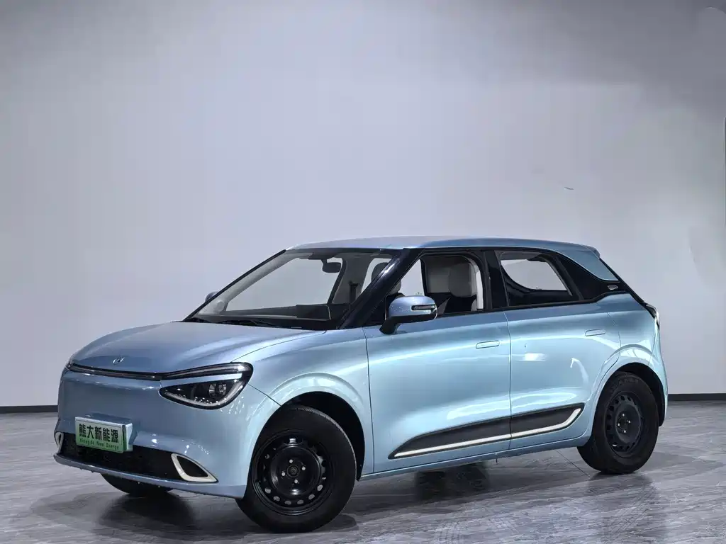 Dongfeng Nano 01 2024
