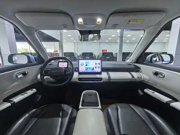 Dongfeng Nano 01 2024