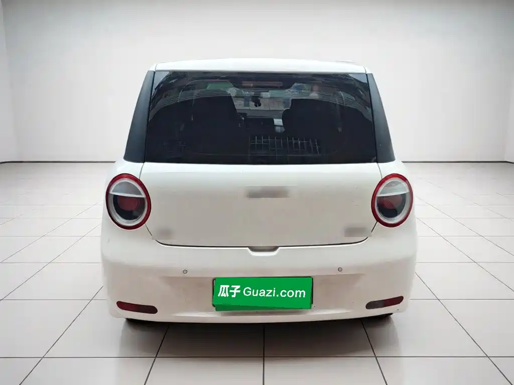 Qiyuan Lumin 2025