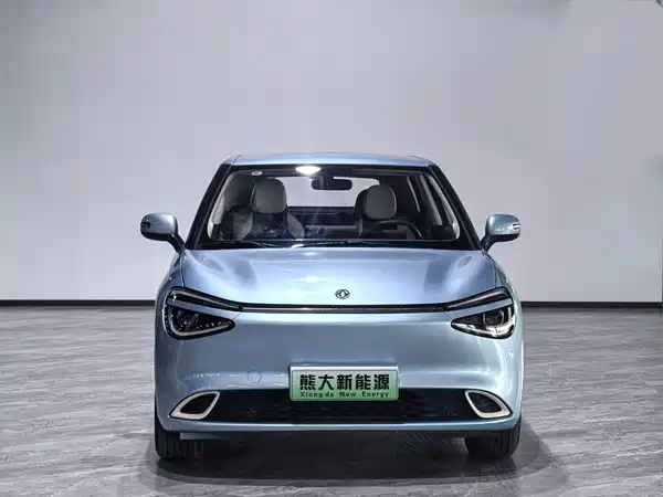 Dongfeng Nano 01 2024
