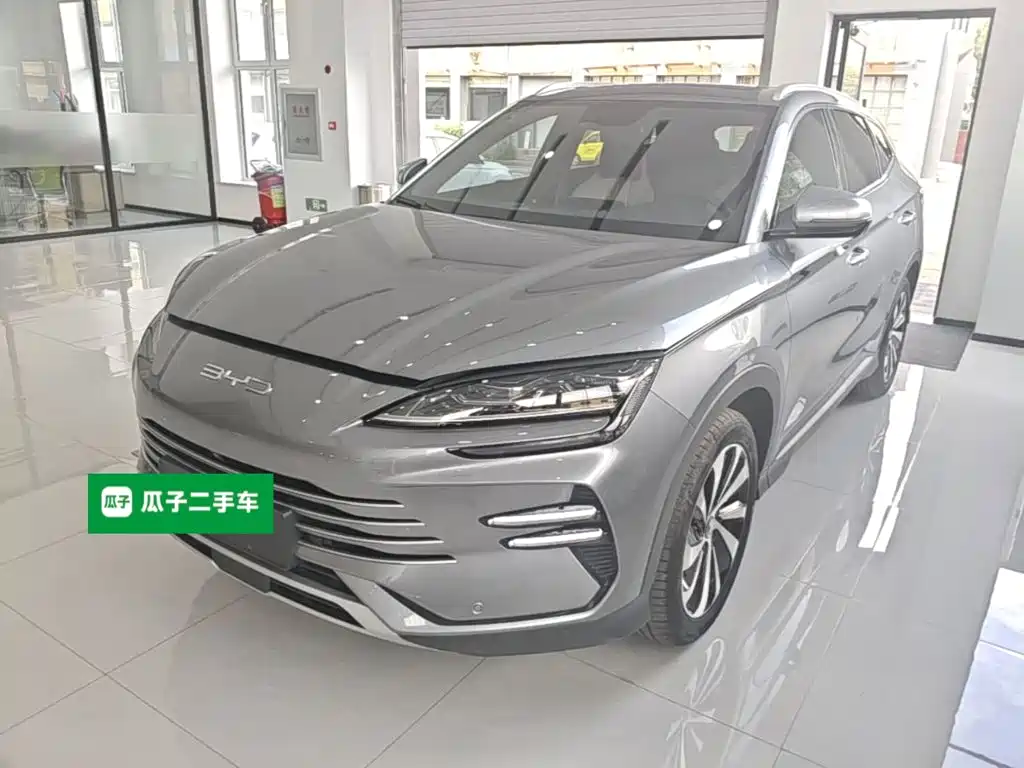 BYD PLUS New Energy 2023 — фото 2