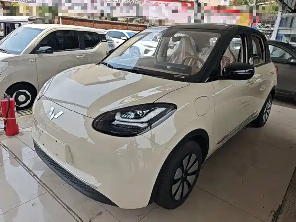 Wuling Bingo 2024