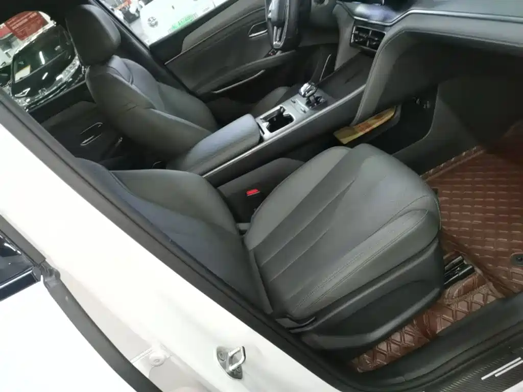 BYD L DM-i 2025 — фото 25