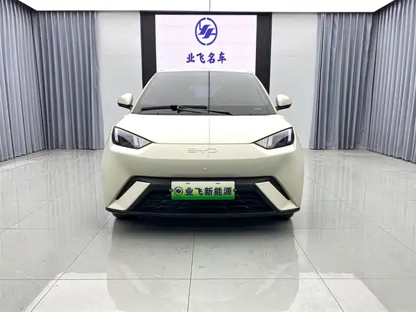 BYD Seagull 2025