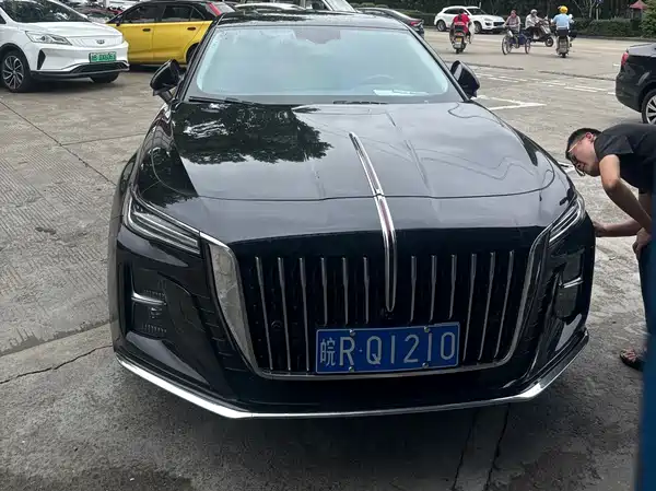 Hongqi H5 2024
