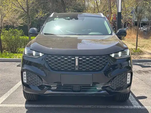 Wey VV6 2020