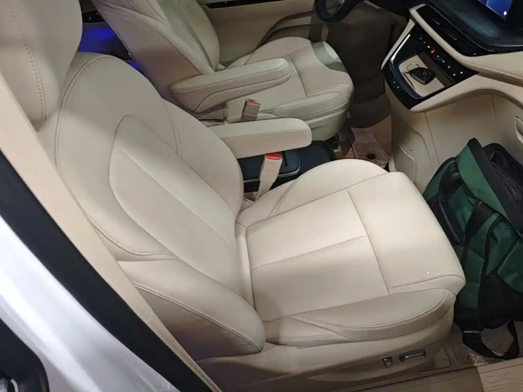 Buick GL8 Hybrid 2025 — фото 20