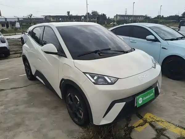 BYD Seagull 2024
