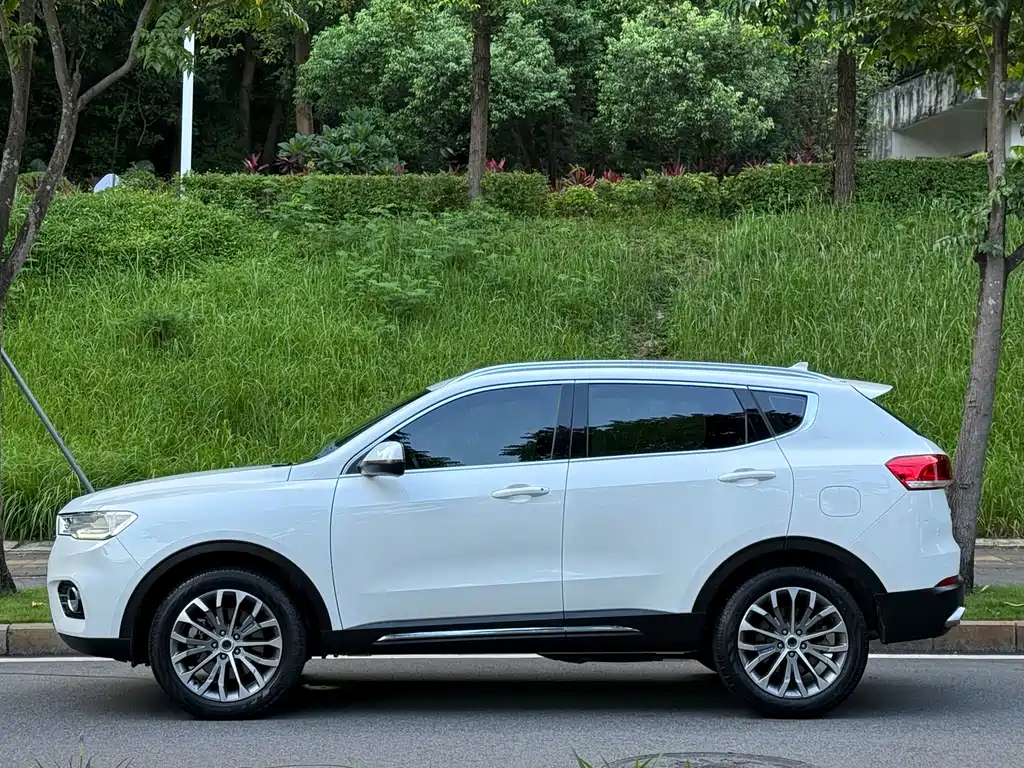 Haval H6 2017