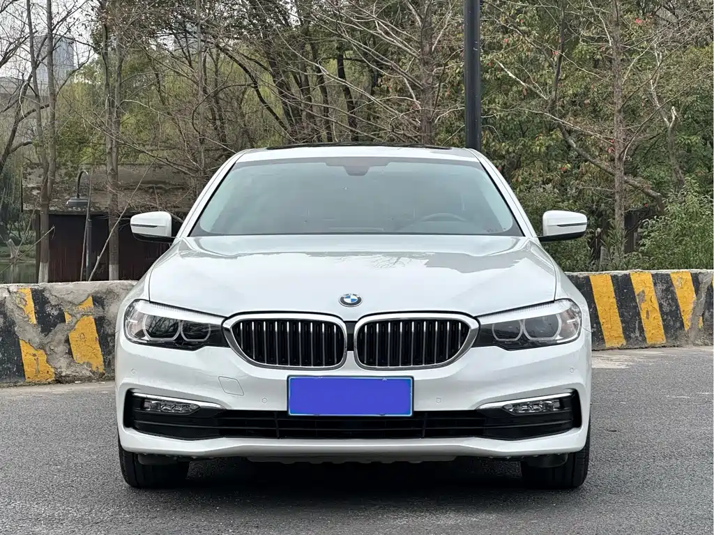 BMW 5 Series 2017 — фото 2