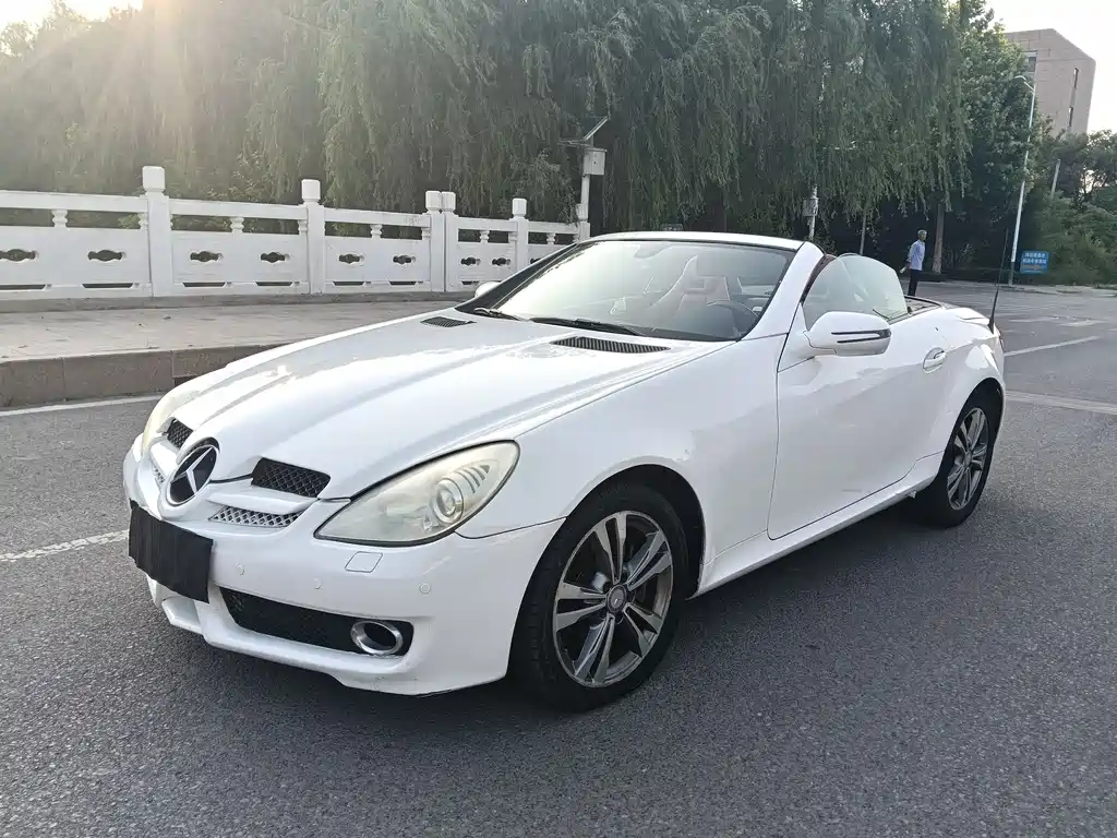 Mercedes-Benz SLK-Class 2010