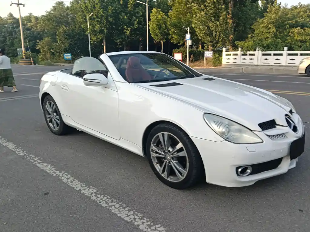 Mercedes-Benz SLK-Class 2010 — фото 2