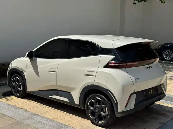 BYD Seagull 2024