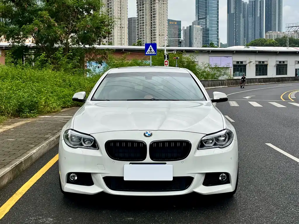 BMW 5 Series 2014 — фото 2