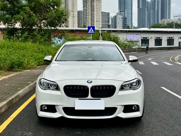BMW 5 Series 2014