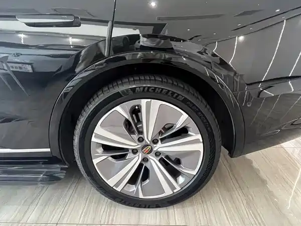 Hongqi E-HS9 2021