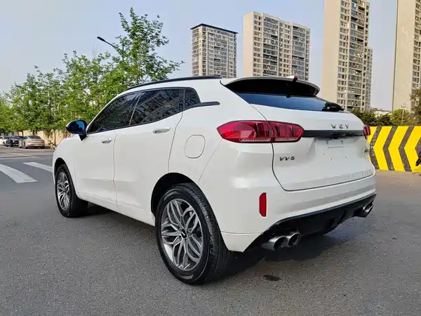 Wey VV5 2017