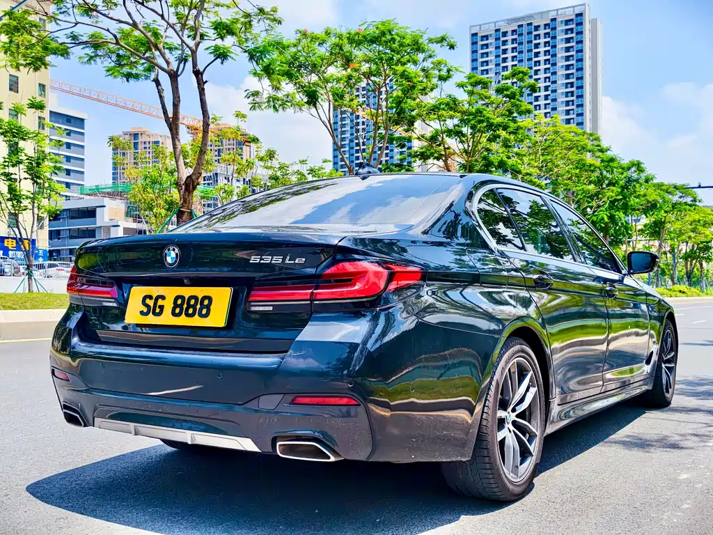BMW 5 Series New Energy 2021