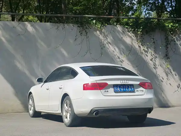 Audi A5 2014