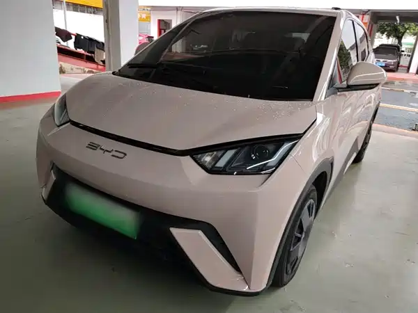 BYD Seagull 2024