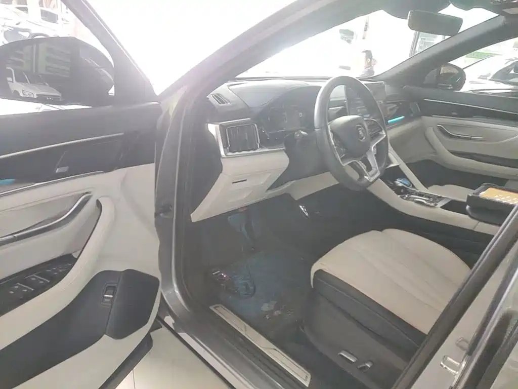 BYD Song PLUS New Energy 2022 — фото 16