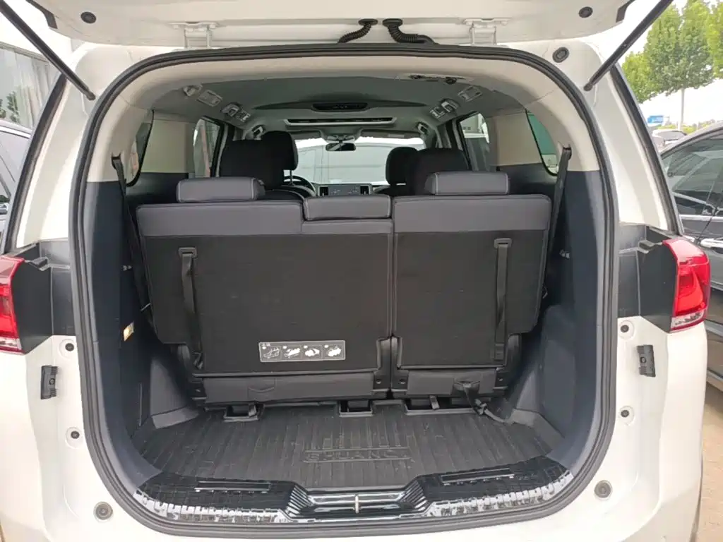 GAC Trumpchi M8 2023 — фото 19