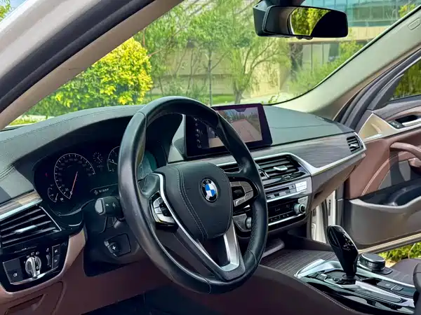 BMW 5 Series 2019